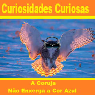 Contos no Rádio - A Coruja Não Enxerga a Cor Azul.