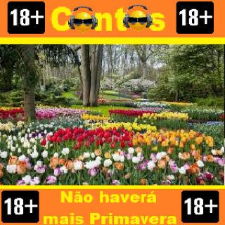 Contos no Rádio - Não Haverá mais Primavera.