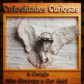 Contos no Rádio - A Coruja Não Enxerga a Cor Azul.