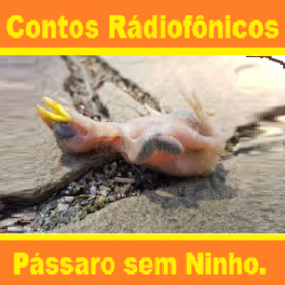 Contos Rádiofônicos - Pássaro sem Ninho